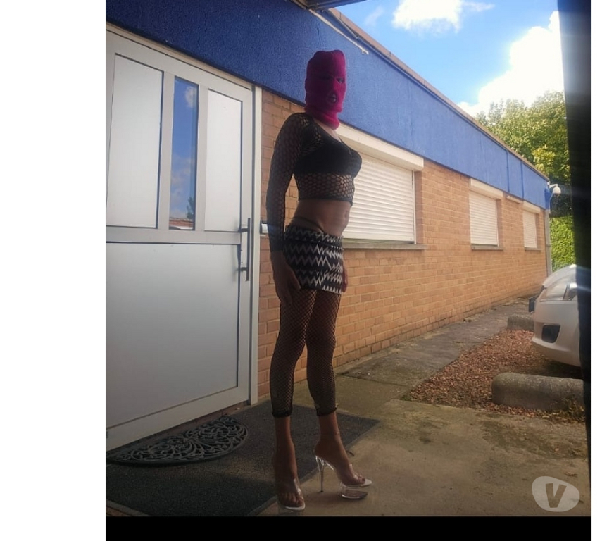 Gay Liège Liège-Centrum - Photos Vivastreet BONNE CHIENNE DISPONIBLE MAINTENANT À L'HÔTEL