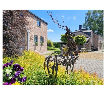 Annonce maison - Photos Vivastreet BIEVRE - Naome : magnifique propriété, 2 gites, piscine.