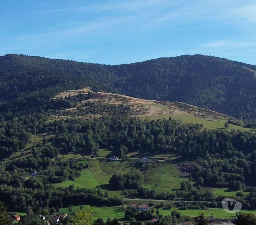 Annonce maison France - Photos Vivastreet (Hautes-Vosges) BUSSANG – DEUX CHALETS