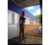 BONNE CHIENNE DISPONIBLE MAINTENANT DANS MA CHAMBRE D'HÔTEL