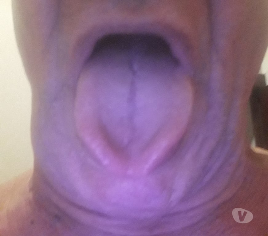 Gay Wemmel - Photos Vivastreet Viens te vider dans ma bouche