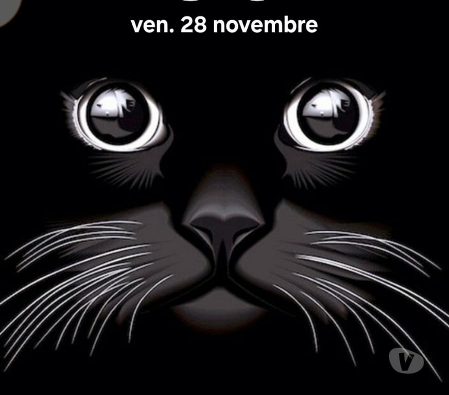 Gay Evere - Photos Vivastreet Massage chez vous gratuit pour actif