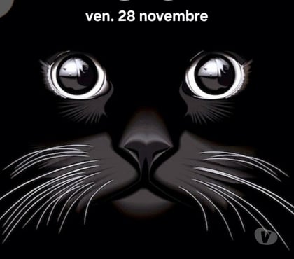 Rencontre gay - Photos Vivastreet Massage chez vous gratuit pour actif