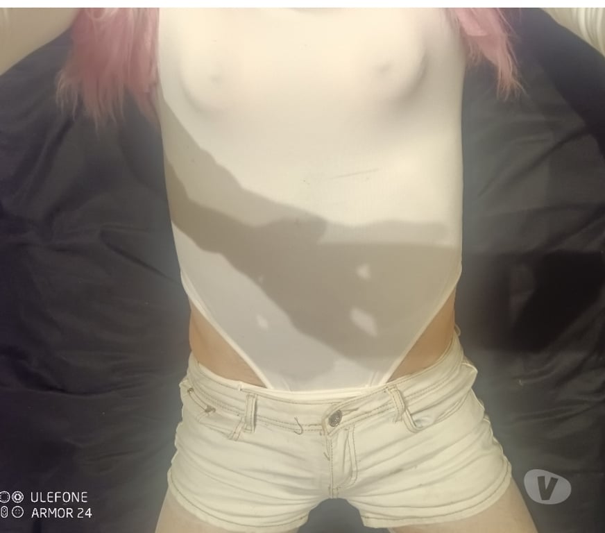 Gay Forest - Photos Vivastreet Petite chienne en chaleur a besoin d'un dressage