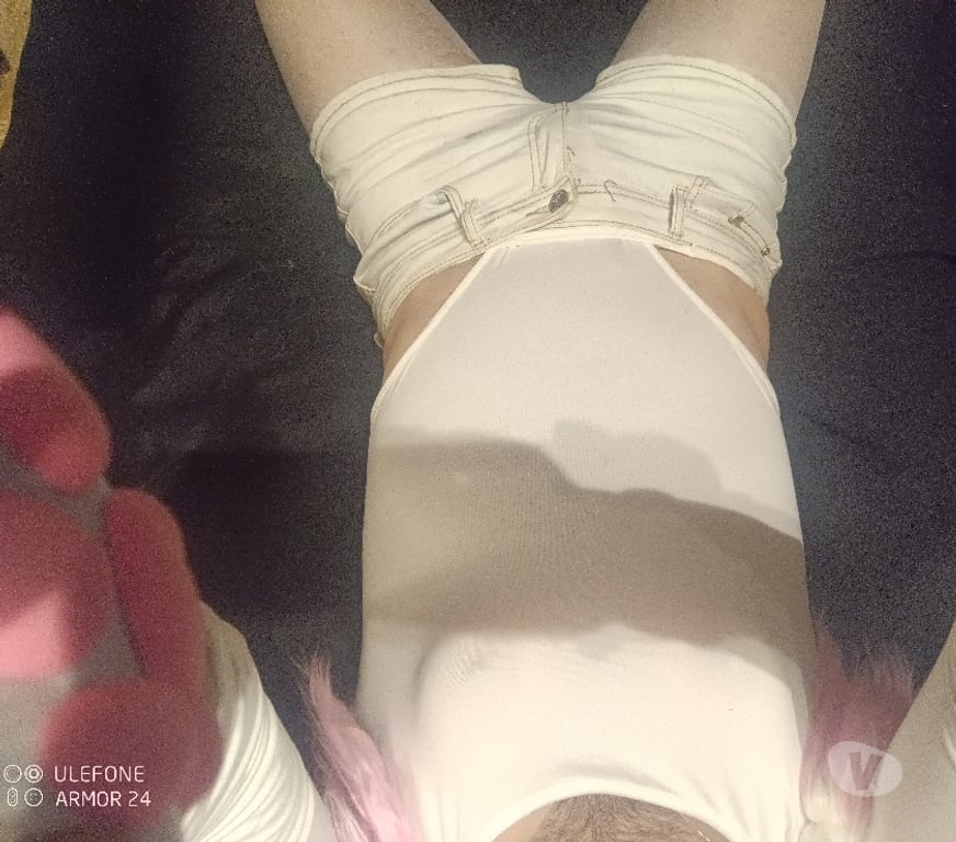 Gay Forest - Photos Vivastreet Petite chienne en chaleur a besoin d'un dressage