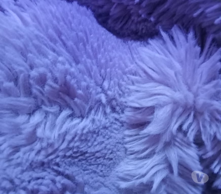 Gay Mons Cuesmes - Photos Vivastreet Passif débutant