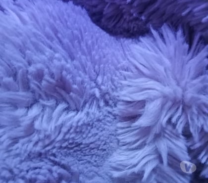 Gay Cuesmes Mons - Photos Vivastreet Passif débutant