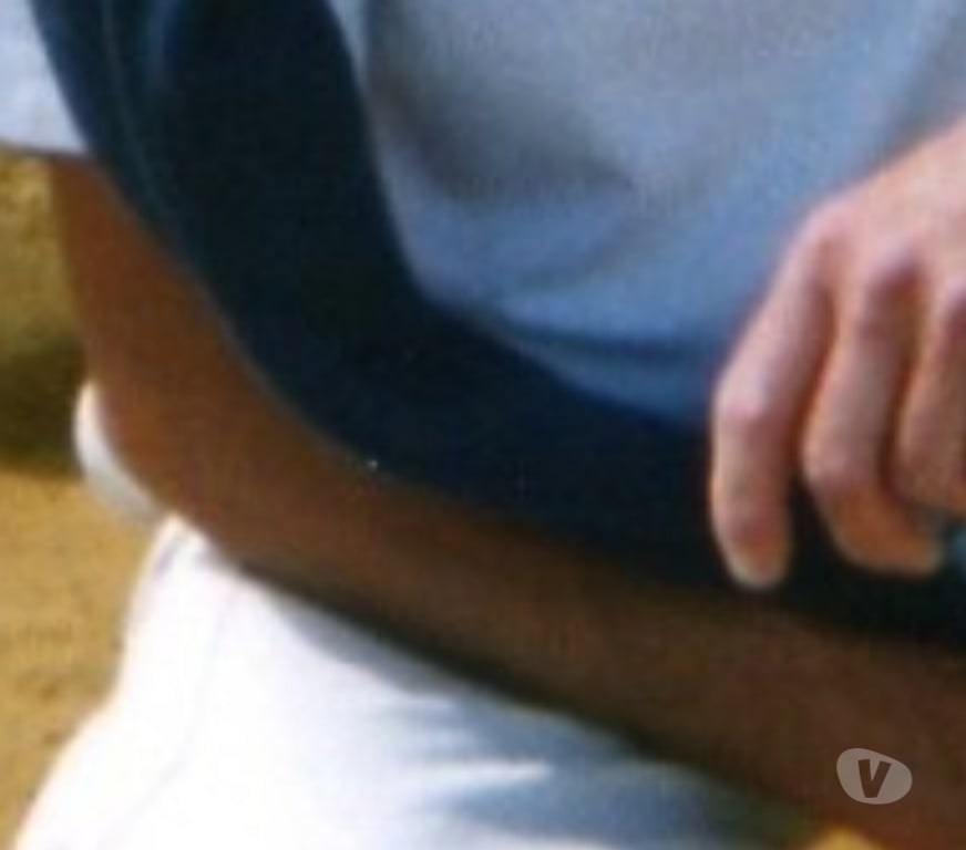 exhib Namur Beez - Photos Vivastreet #########SOUMIS SANS COLLIER###########