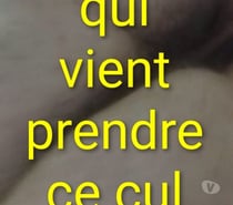 Cherche senior actif 60 ans