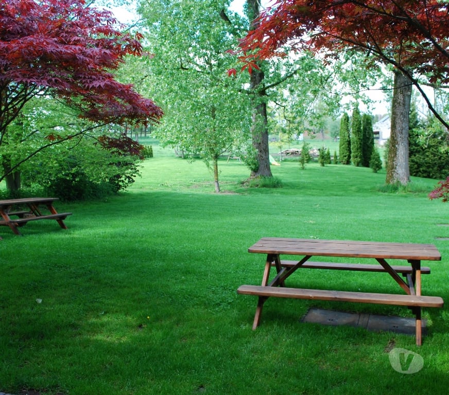 Location vacances Sprimont Sprimont-Centrum - Photos Vivastreet Ardenne Gites d'Ogne 2 à 20-22 personnes Spa Liege Wifi