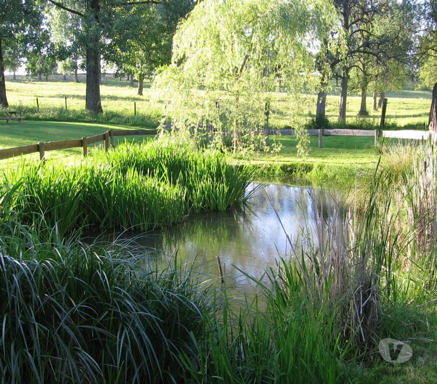 Location vacances Sprimont Sprimont-Centrum - Photos Vivastreet Ardenne Gites d'Ogne 2 à 20-22 personnes Spa Liege Wifi