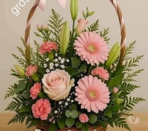 Envie de prendre votre pènis en bouches