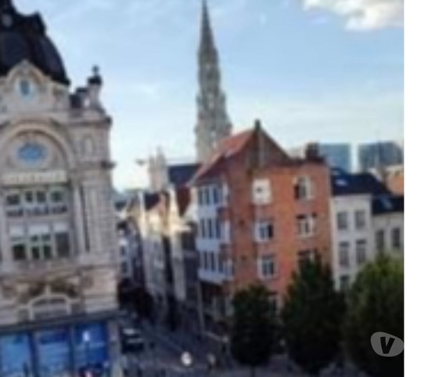 Location vacances Bruxelles (Brussels) Bruxelles-Centrum - Photos Vivastreet Chambre au centre de Bruxelles
