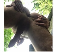 Qui me veux à poil en soirée ou journée