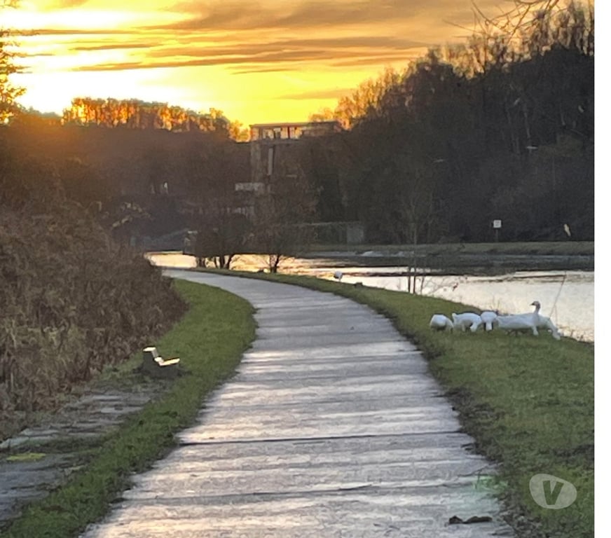 Gay Tubize - Photos Vivastreet RAVEL… CANAL??? NOW…