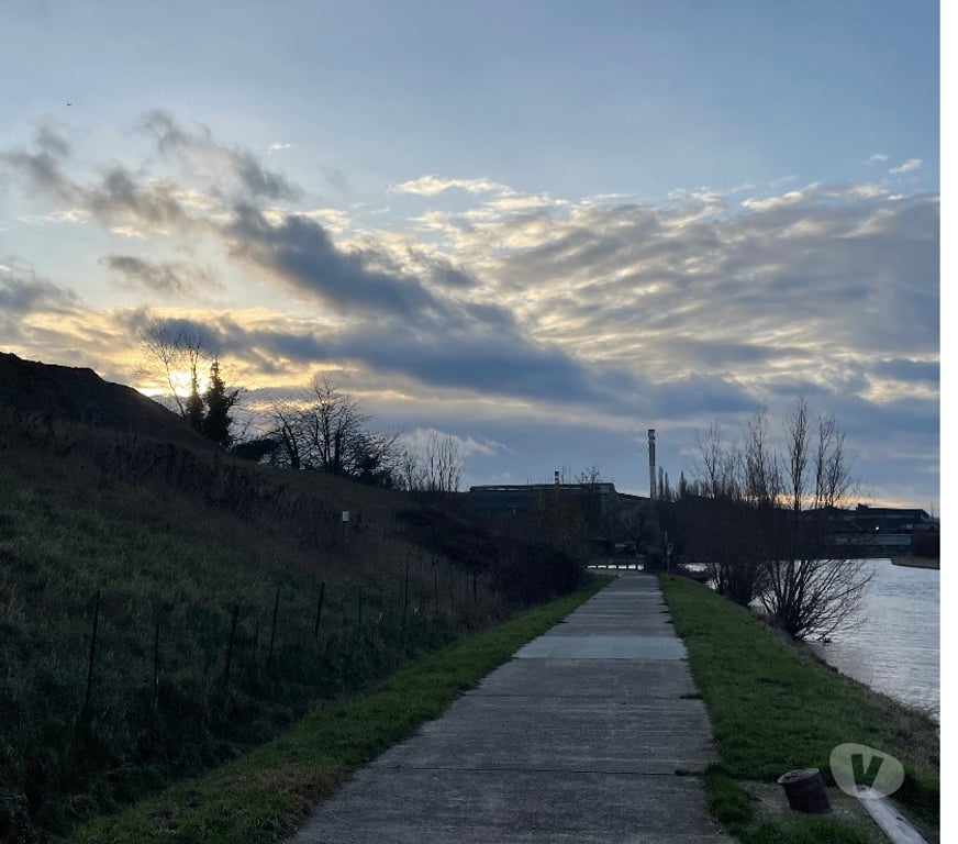 Gay Tubize - Photos Vivastreet RAVEL… CANAL???