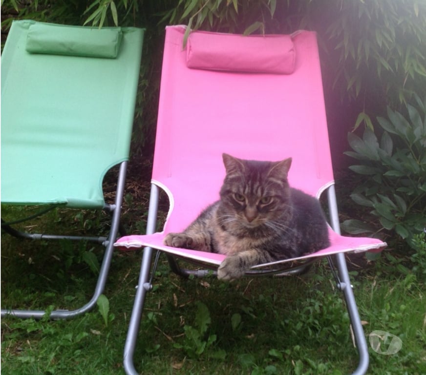 location meublé Uccle - Photos Vivastreet Studio Flat dans maison avec jardin