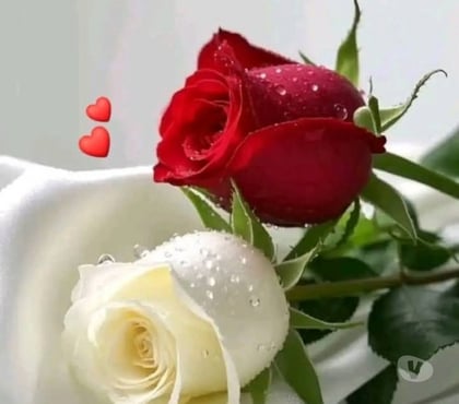 Hommes > Femmes - Photos Vivastreet Une belle histoire d'amour