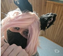 Trav cherche queue a sucer