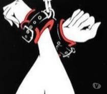 Maître Domination et Bondage