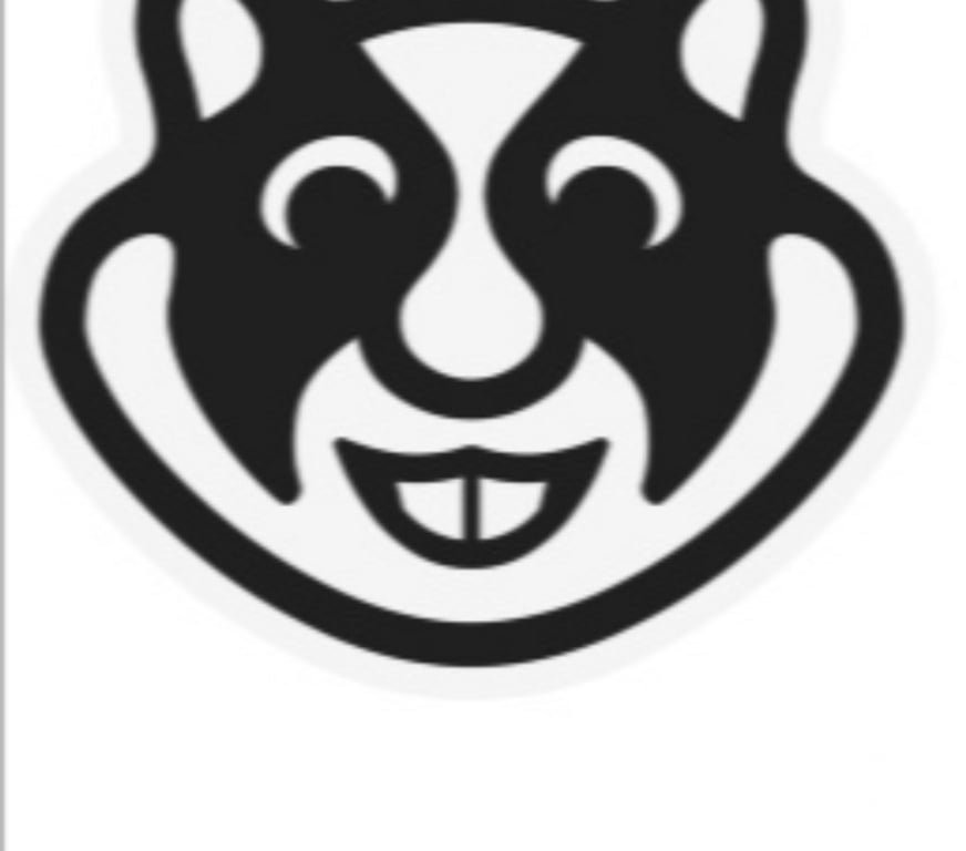 exhib Tournai Tournai-Centrum - Photos Vivastreet Doorniken italianich rep italienne