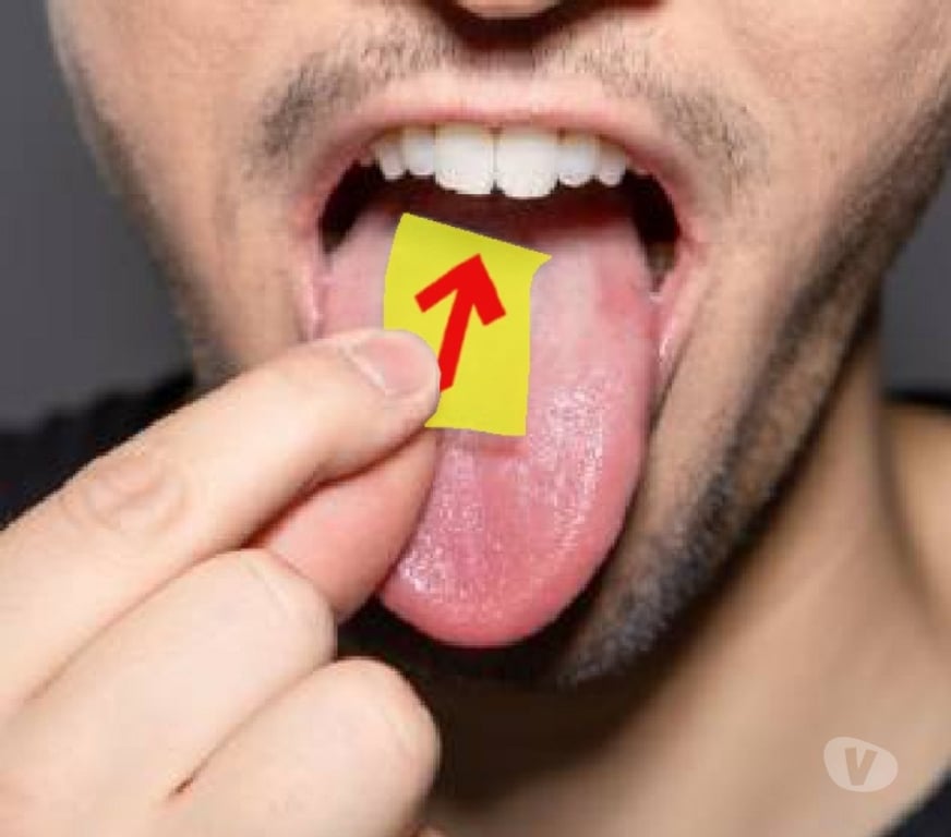 Gay Schaerbeek - Photos Vivastreet Et hop, c'est par là !