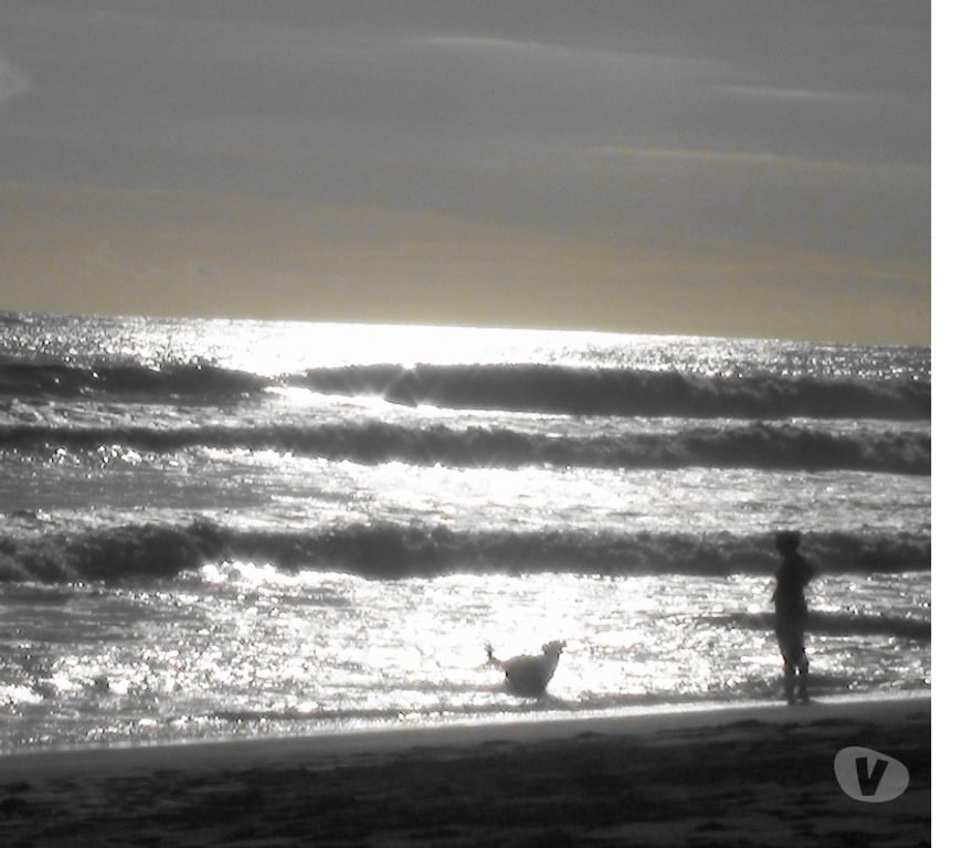 Gay Bruxelles (Brussels) Bruxelles-Centrum - Photos Vivastreet Recherche une jeune trans plutôt attentionnée