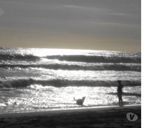 Recherche une jeune trans plutôt attentionnée