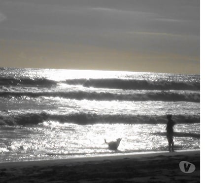 Gay Bruxelles-Centrum Bruxelles (Brussels) - Photos Vivastreet Recherche une jeune trans plutôt attentionnée