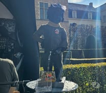 Très vicieux pour gars docile