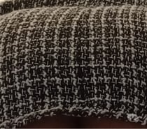 Chienne reçoit à 4 pattes