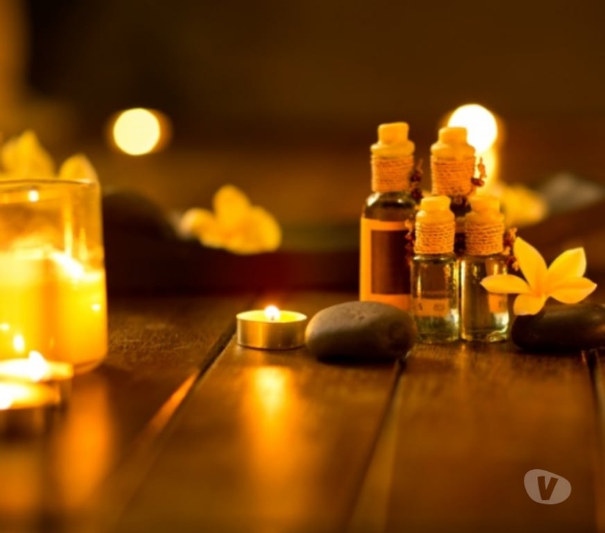 Escort Ninove Ninove-Centrum - Photos Vivastreet Massage suédois nuru