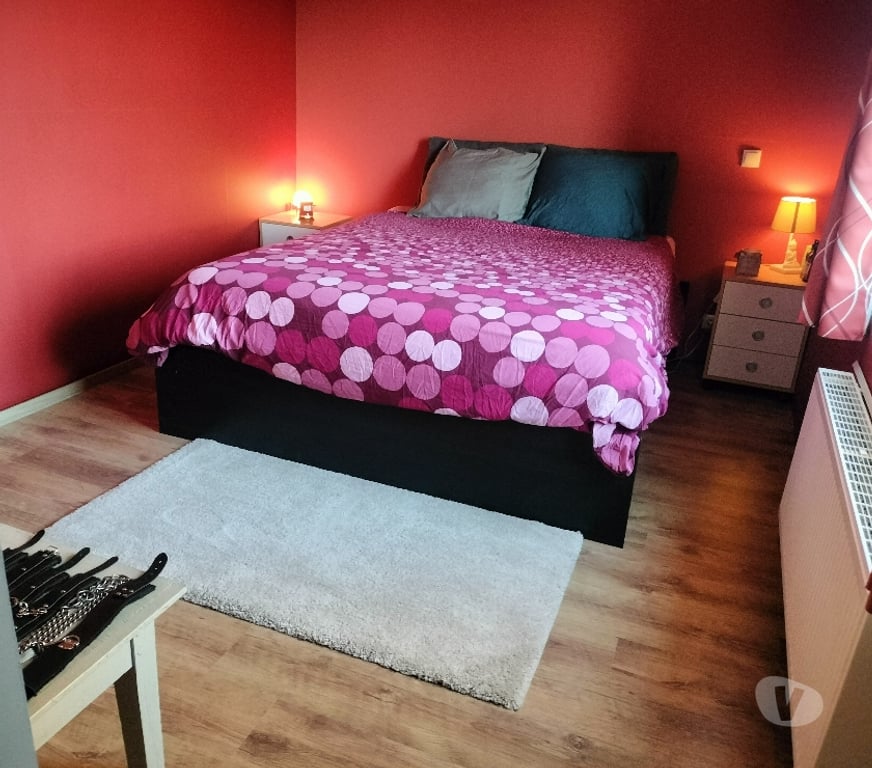 exhib Amay - Photos Vivastreet Maître Mûr recrute soumise sans collier et sans limites !