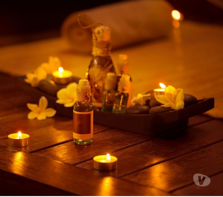 Escort Ninove Ninove-Centrum - Photos Vivastreet Massage suédois nuru