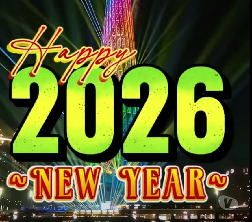 exhib Tournai Tournai-Centrum - Photos Vivastreet Butineuse accroc