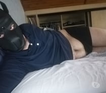 Chien passif a votre disposition