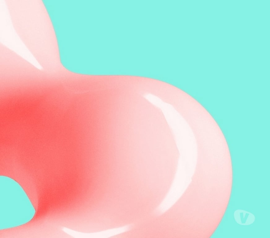 Gay Namur Beez - Photos Vivastreet Black Mamba og oooo