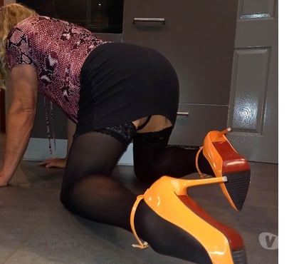 Rencontre gay - Photos Vivastreet Mais où sont donc passer toutes les bonnes travestis ?