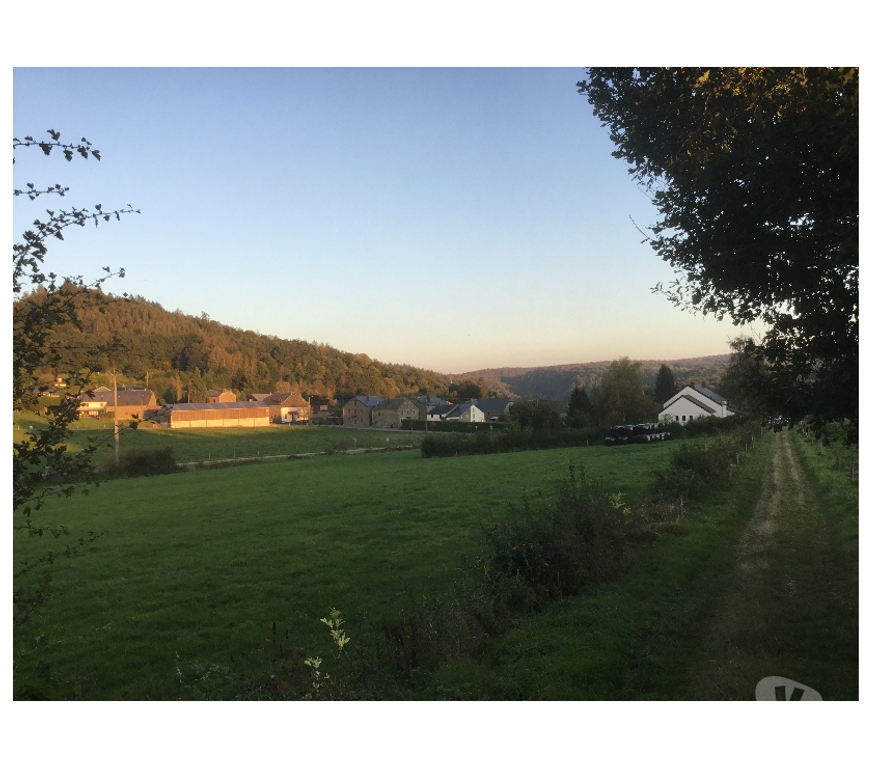 Terrains à vendre Bouillon Dohan - Photos Vivastreet Terrain à vendre à DOHAN( rég de BOUILLON )