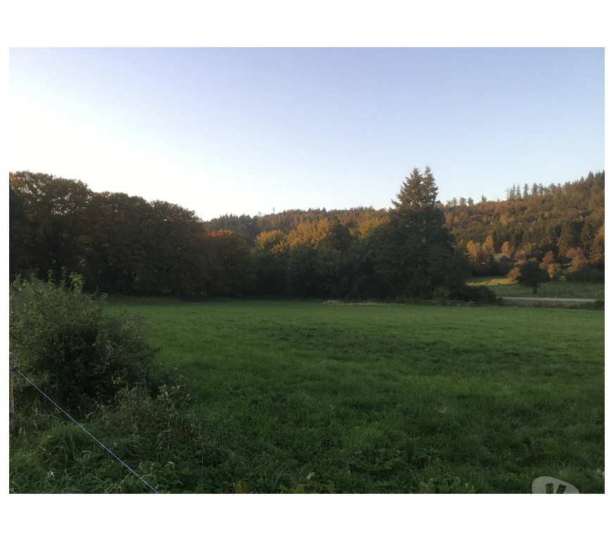 Terrains à vendre Bouillon Dohan - Photos Vivastreet Terrain à vendre à DOHAN( rég de BOUILLON )