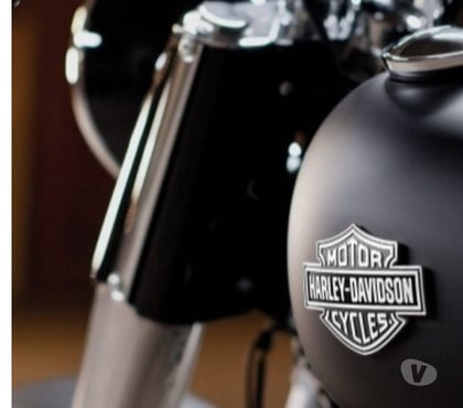 Gay - Photos Vivastreet Amour ou plus si affinity