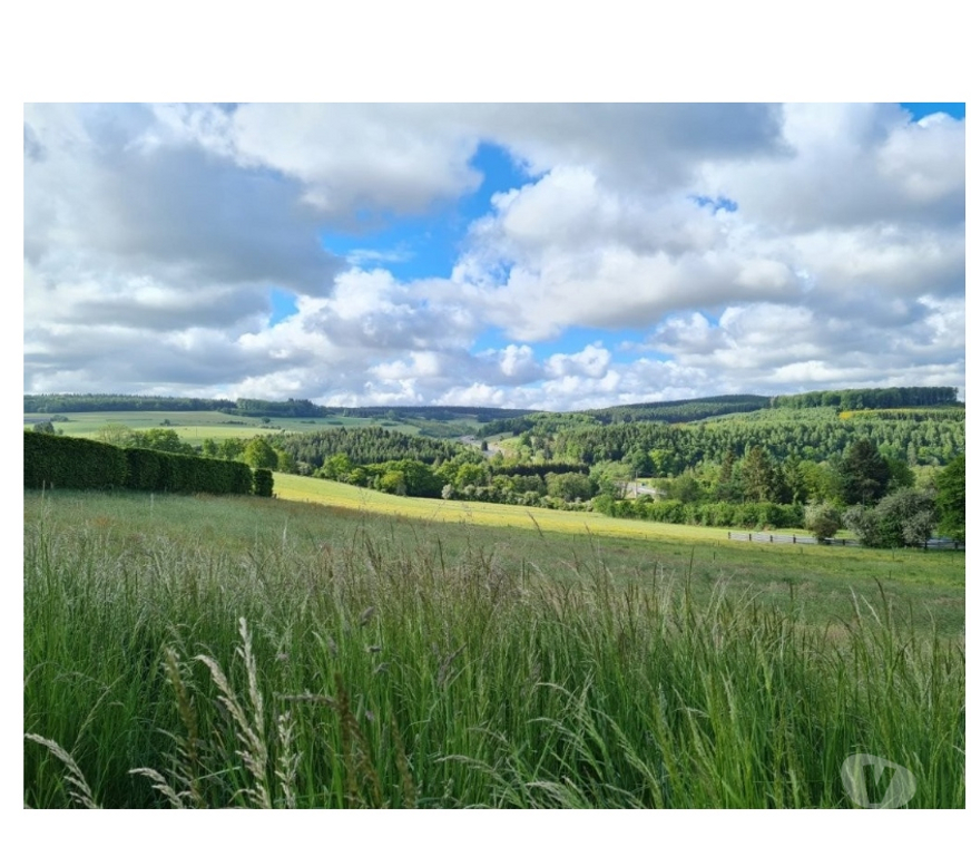 Terrains à vendre Tenneville Laneuville-au-Bois - Photos Vivastreet Ortheuville : terrain à batir de 14a 79ca.