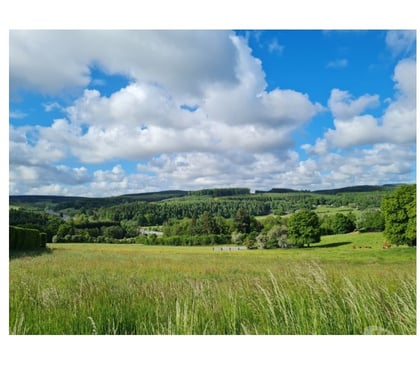 Terrain à vendre Laneuville-au-Bois Tenneville - Photos Vivastreet Ortheuville : terrain à batir de 14a 79ca.