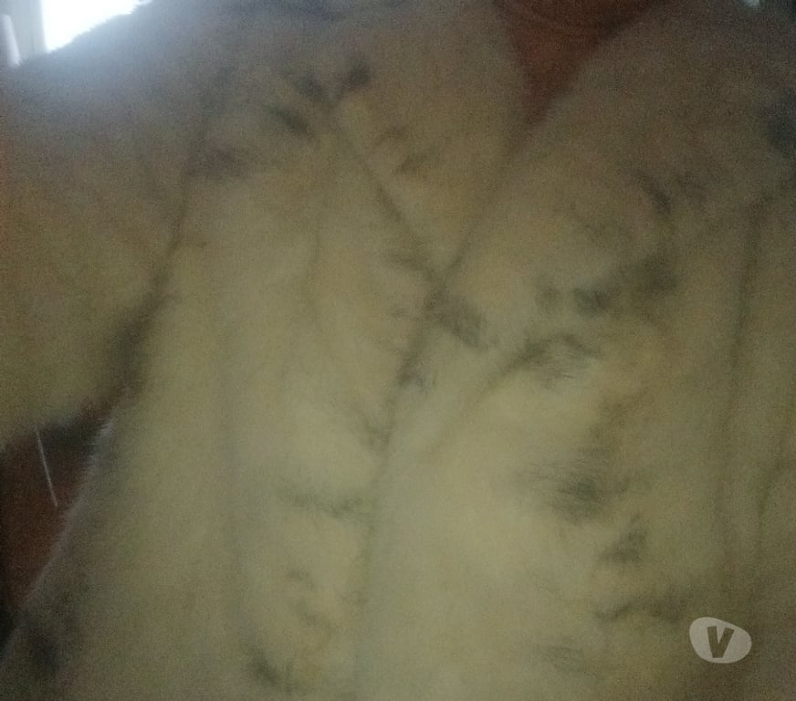 Gay Evere - Photos Vivastreet envie de plaisirs