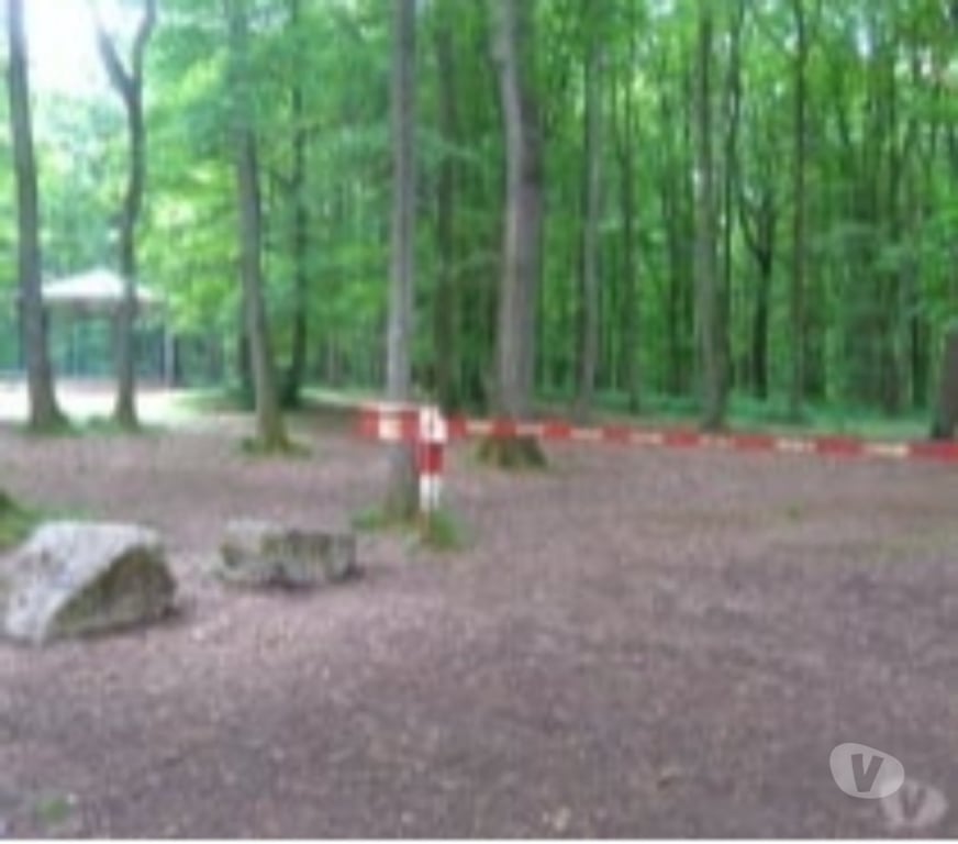 exhib Charleroi Charleroi-Centrum - Photos Vivastreet mmmm le minou pour femmes + de 18 ans