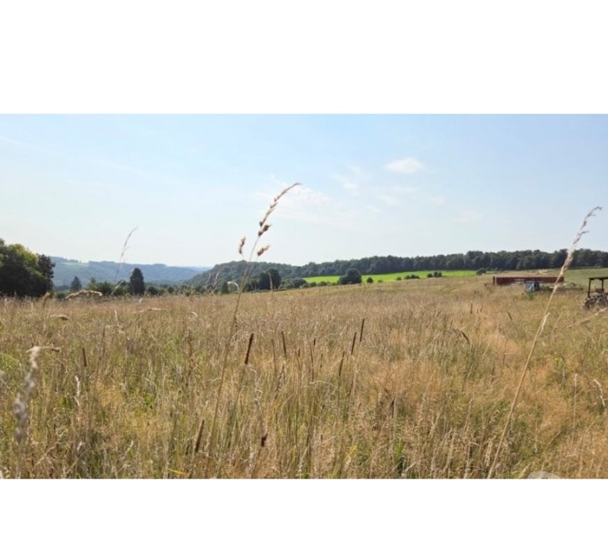 Terrains à vendre Bouillon Dohan - Photos Vivastreet Les Hayons : grand terrain de plus d'un hectare