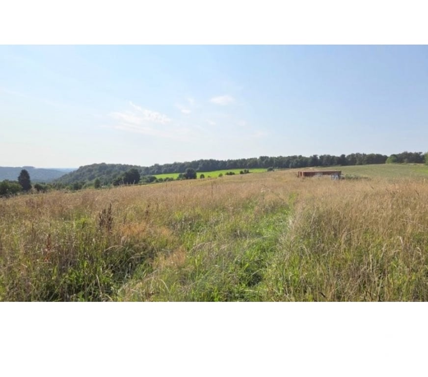 Terrains à vendre Bouillon Dohan - Photos Vivastreet Les Hayons : grand terrain de plus d'un hectare