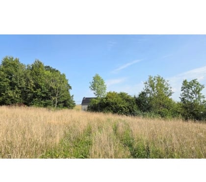 Vente terrain Dohan Bouillon - Photos Vivastreet Les Hayons : grand terrain de plus d'un hectare