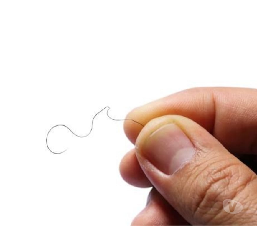 Gay Schaerbeek - Photos Vivastreet Trouvé entre mes dents ...