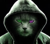 Femme vicieuse est recherchée